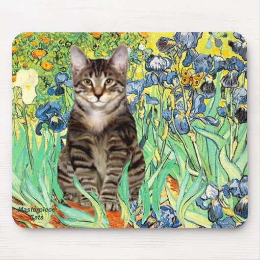 Irissen - Tabby tijgerkat 30 Muismat (Voorkant)