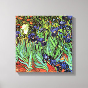 Irissen van Van Gogh Fine Art Canvas Print