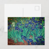 Irissen van Vincent van Gogh: Briefkaart (Voorkant / Achterkant)