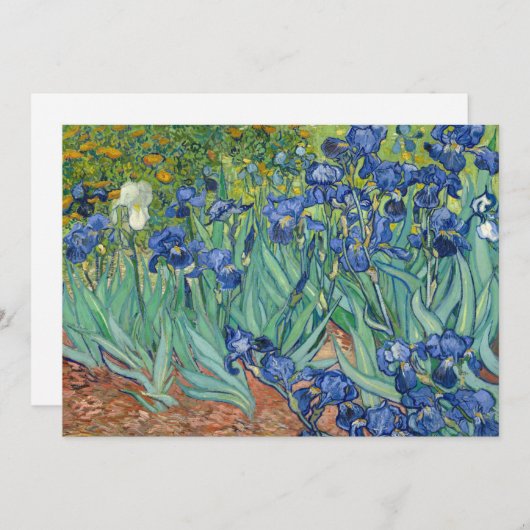 Irissen | Vincent van Gogh (Voorkant / Achterkant)