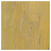 Irissen - Vincent van Gogh Fine Art Stof (Close Up)