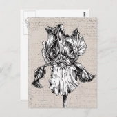  iristekening briefkaart (Voorkant / Achterkant)