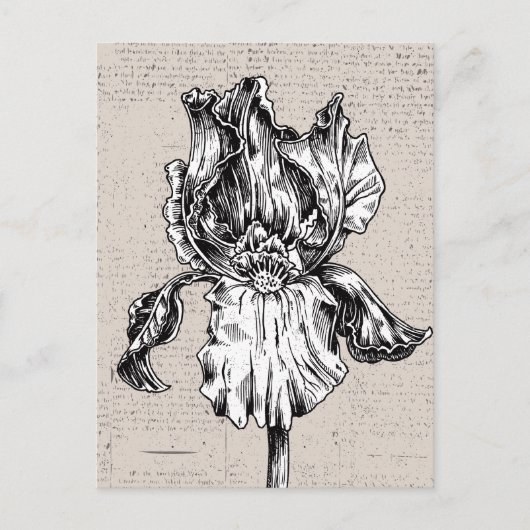  iristekening briefkaart (Voorkant)