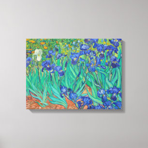 IrisVincent van Gogh Canvas Afdruk