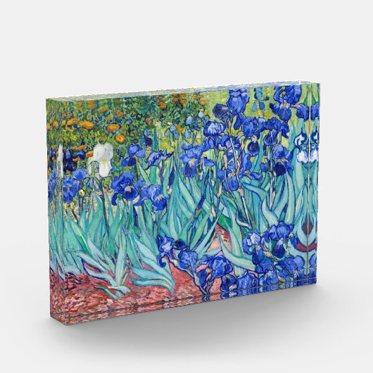 IrisVincent van Gogh Fotoblokken (Links)