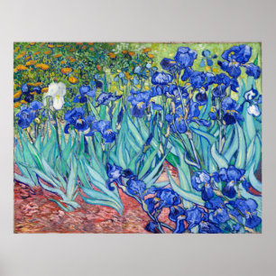 IrisVincent van Gogh Poster