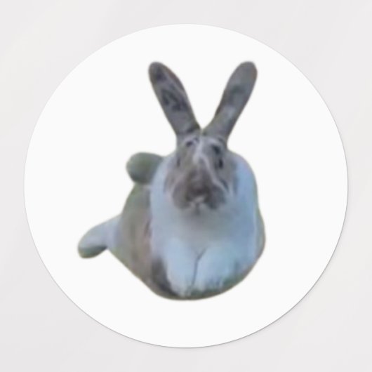 IRL Paddies Sticker Sheet (Design 2)