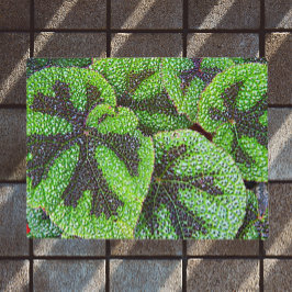 Iron Cross Begonia Floral Deurmat