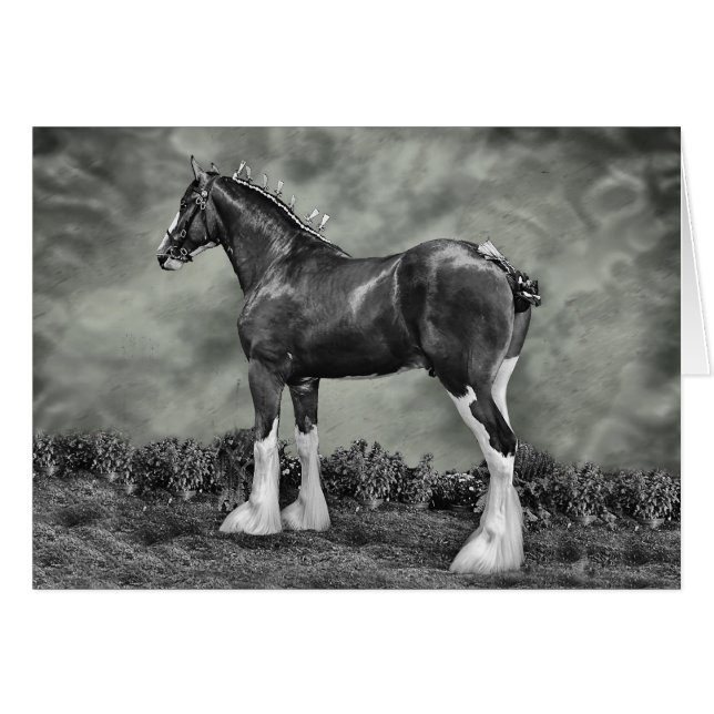 Iron Horse Steele (Voorkant Horizontaal)