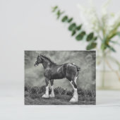 Iron Horse Steele Briefkaart (Staand voorkant)