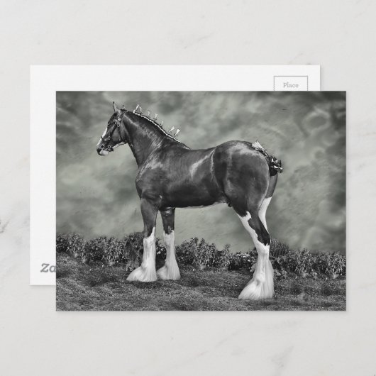 Iron Horse Steele Briefkaart (Voorkant / Achterkant)