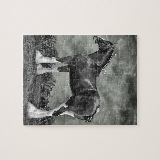 Iron Horse Steele Legpuzzel (Horizontaal)