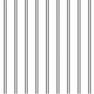 Iron Jail Bars Fotobeeldje Magneet