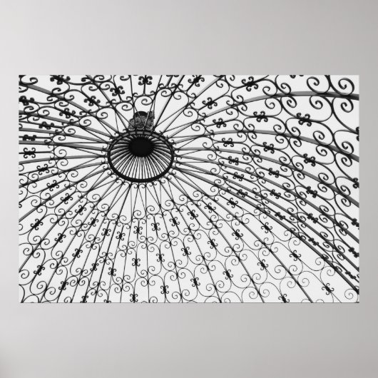 Iron Pergola, Gilcrease Museum Gardens. 2008 Poster (Voorkant)