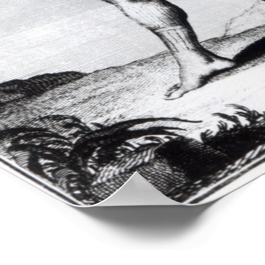 Iroquois Man, inwoner van Canada Poster (Hoek)