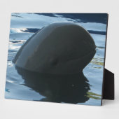 Irrawaddy dolfijn Peek-A-Boo Fotoplaat (Zijkant)