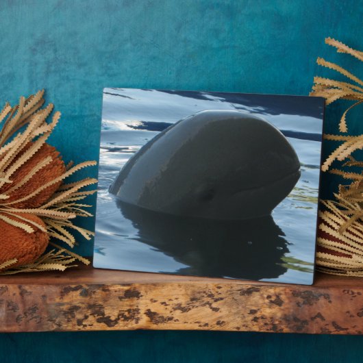 Irrawaddy dolfijn Peek-A-Boo Fotoplaat (Zijkant)