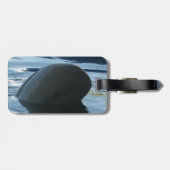 Irrawaddy Dolphin Peek-A-Boo Bagagelabel (Achterkant horizontaal)