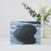Irrawaddy Dolphin Peek-A-Boo Briefkaart (Staand voorkant)
