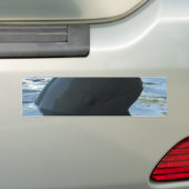 Irrawaddy Dolphin Peek-A-Boo Bumpersticker (Op auto)