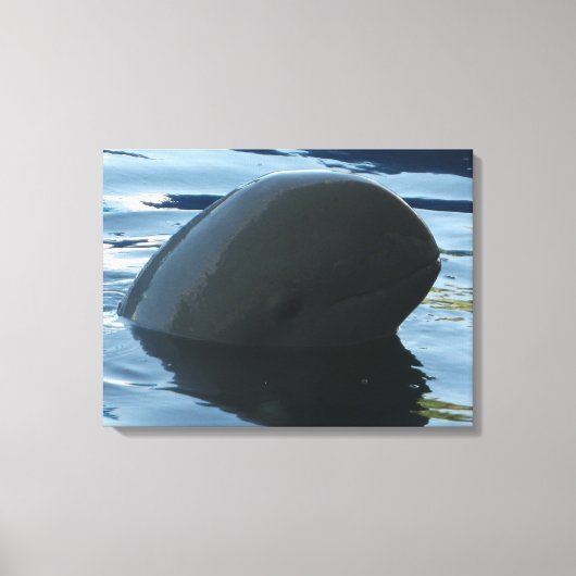 Irrawaddy Dolphin Peek-A-Boo Canvas Afdruk (Voorkant)