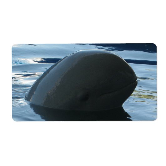 Irrawaddy Dolphin Peek-A-Boo Etiket (Voorkant)