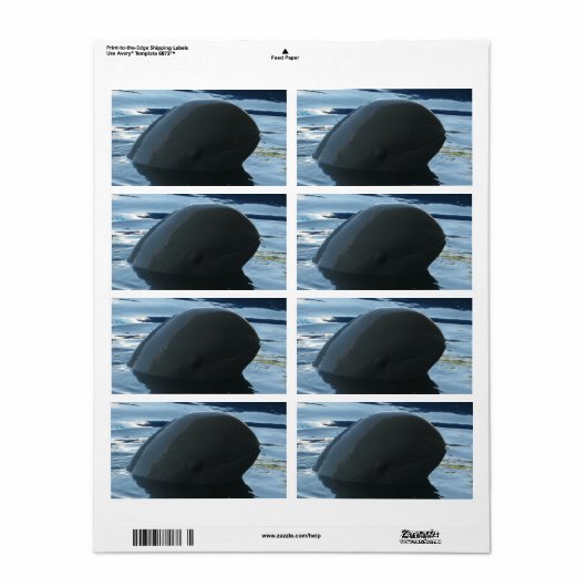 Irrawaddy Dolphin Peek-A-Boo Etiket (Full Sheet)