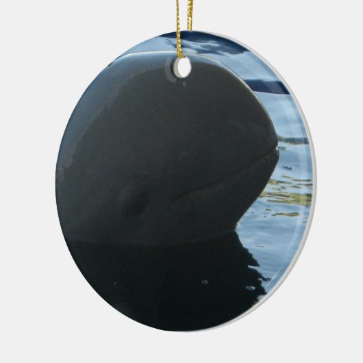 Irrawaddy Dolphin Peek-A-Boo Keramisch Ornament (Links)