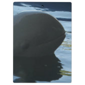 Irrawaddy Dolphin Peek-A-Boo Klembord (Achterkant)