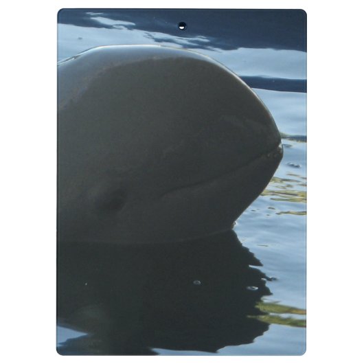 Irrawaddy Dolphin Peek-A-Boo Klembord (Achterkant)