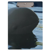 Irrawaddy Dolphin Peek-A-Boo Klembord (Voorkant)