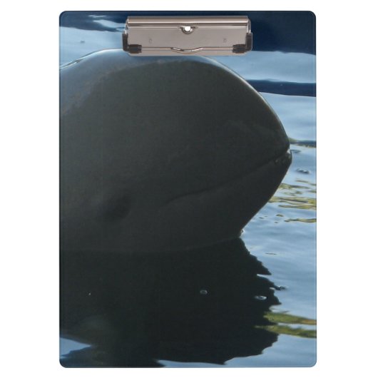 Irrawaddy Dolphin Peek-A-Boo Klembord (Voorkant)