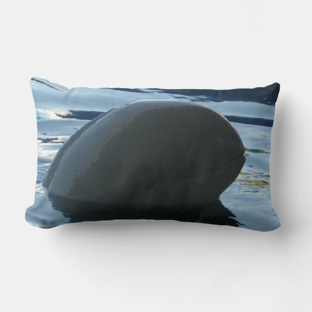 Irrawaddy Dolphin Peek-A-Boo Kussen (Voorkant)