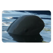 Irrawaddy Dolphin Peek-A-Boo Magneet (Horizontaal)