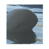 Irrawaddy Dolphin Peek-A-Boo Notitieblok (Voorkant)