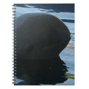 Irrawaddy Dolphin Peek-A-Boo Notitieboek