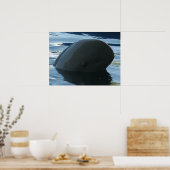 Irrawaddy Dolphin Peek-A-Boo Poster (Keuken)