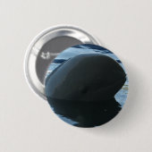 Irrawaddy Dolphin Peek-A-Boo Ronde Button 5,7 Cm (Voorkant /achterkant)