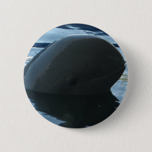 Irrawaddy Dolphin Peek-A-Boo Ronde Button 5,7 Cm