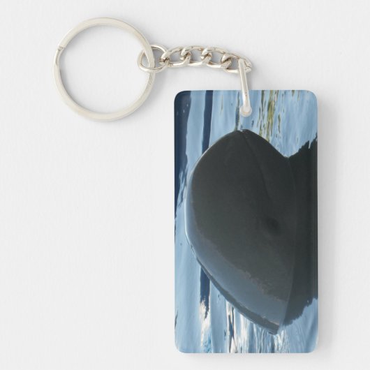 Irrawaddy Dolphin Peek-A-Boo Sleutelhanger (Voorkant)