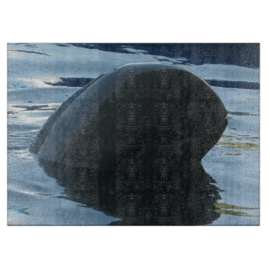 Irrawaddy Dolphin Peek-A-Boo Snijplank (Voorkant)