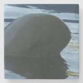 Irrawaddy Dolphin Peek-A-Boo Stenen Onderzetter (Voorkant)