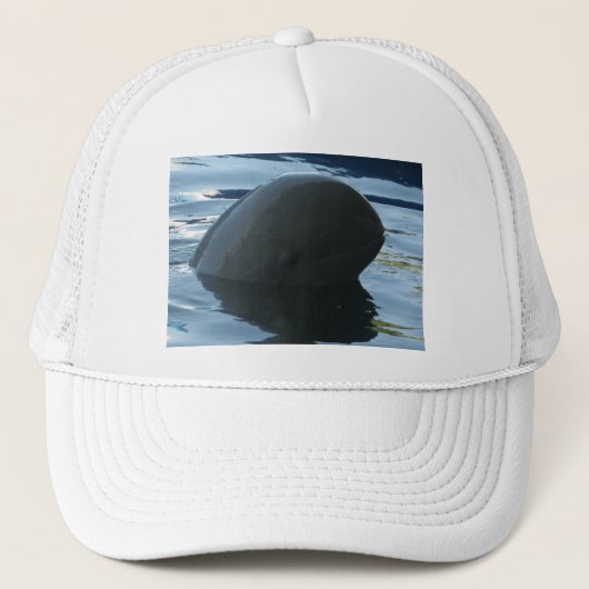 Irrawaddy Dolphin Peek-A-Boo Trucker Pet (Voorkant)