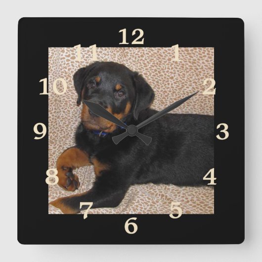 Irresistible Rottweiler Puppy Numbered Wall Clock Vierkante Klok (Voorkant)
