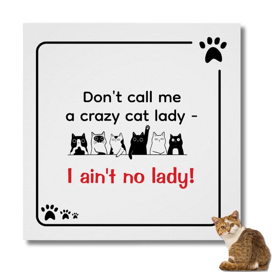 Irreverent Humor Crazy Cat Lady Perfect Poster