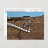 irrigatie-Briefkaart Briefkaart (Voorkant / Achterkant)