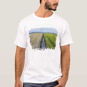 irrigatiekanaal tussen rijstvelden t-shirt