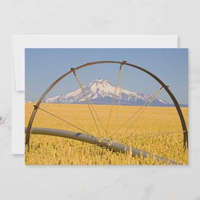 Irrigatieleiding in het veld (Voorkant)