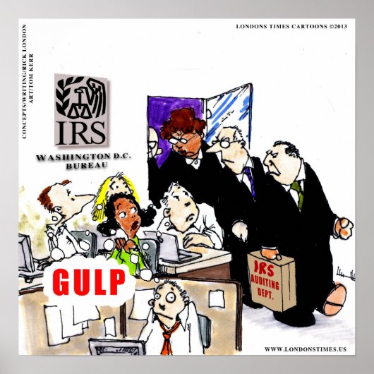 IRS Audits IRS Funny Poster (Voorkant)