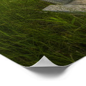 Irwin Prairie Sunset Poster (Hoek)